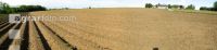 Kartoffel Panorama 3
