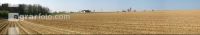 Kartoffel Panorama 5