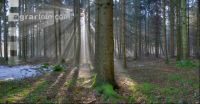 Lichtstrahlen 4