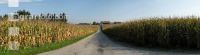 Mais Panorama 5