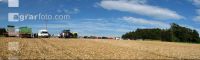 Mais Panorama 6