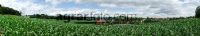 Mais Panorama 15