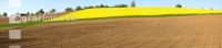 Raps Panorama 10