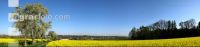 Raps Panorama 9