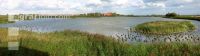 Stockenten Panorama 1
