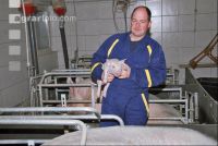 Ferkel Betreuung 2