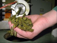 Raps Pellets 2