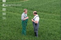Diskussion Feld J 1