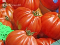 Fleischtomate 1