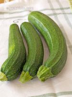 Zucchini 7
