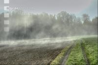 Nebelschwaden 18