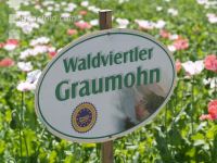 Waldviertel Graumohn 1