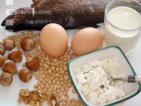 Allergene 1