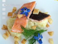 Lachsforelle 3