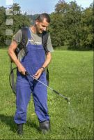 Ampfer spritzen 1