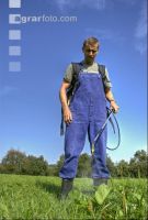 Ampfer spritzen 3