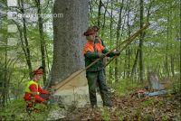 Fallrichtung 3