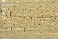 Siltation 4