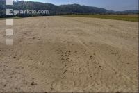 Siltation 6