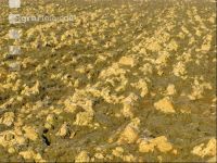 Drying fields 1