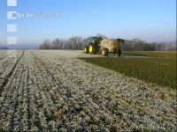 Gerste Gülle Frost 6