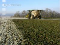 Gerste Gülle Frost 5