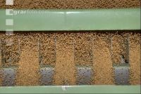 Grain cleaner 7
