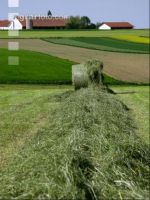 Heurundballen 7