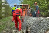 Holzbringung 16