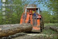 Holzbringung 13