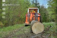 Holzbringung 12