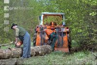 Holzbringung 6