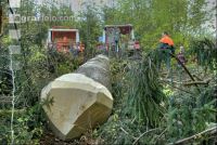 Holzbringung 9