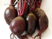 Rote Rübe 1