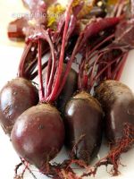 Rote Rübe 2