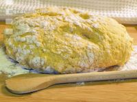 Germteig 1