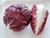 Radicchio 3