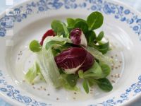 Blattsalate 3