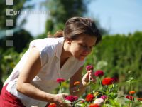 Blumen pflücken 4