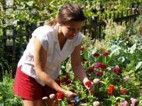 Pick flowers 2