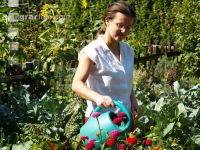 Spraying flowers 2
