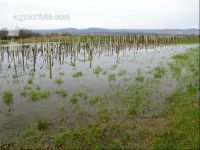 Wein Hochwasser 5