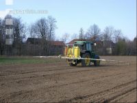 Erbsen Herbizid 2