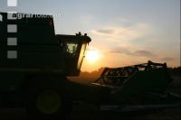 Rye harvest J 4