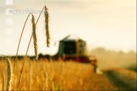 Rye harvest J 3