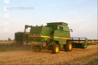 Roggen Ernte J 1