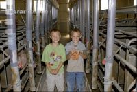 Kinder scherzen 1