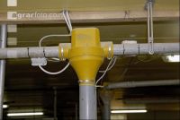 Sauen Ad libidum 24
