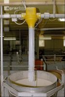 Sauen Ad libidum 25