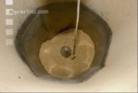 Sauen Ad libidum 26